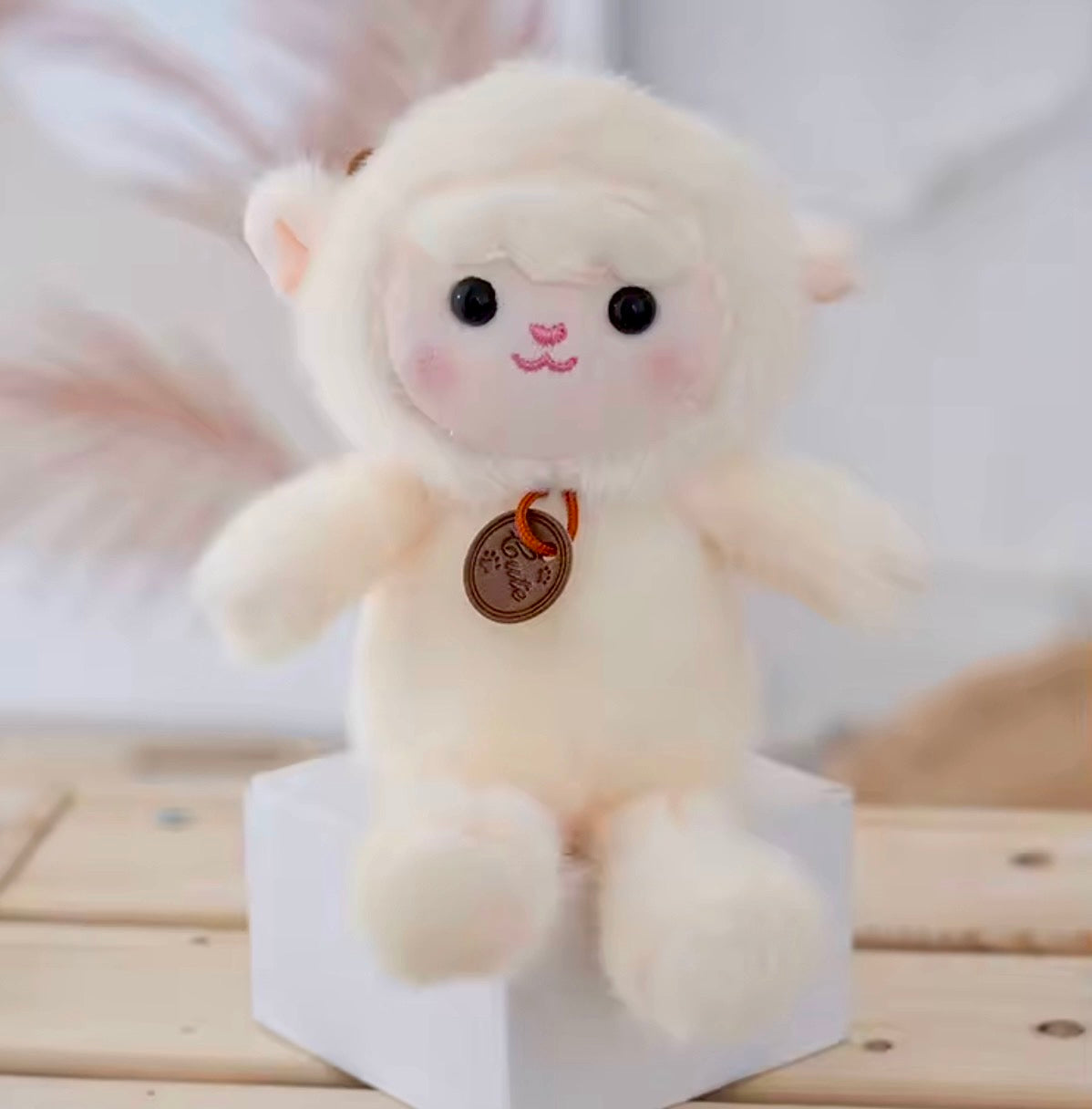 Porte Peluche