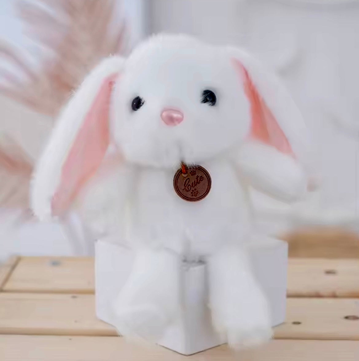 Porte Peluche