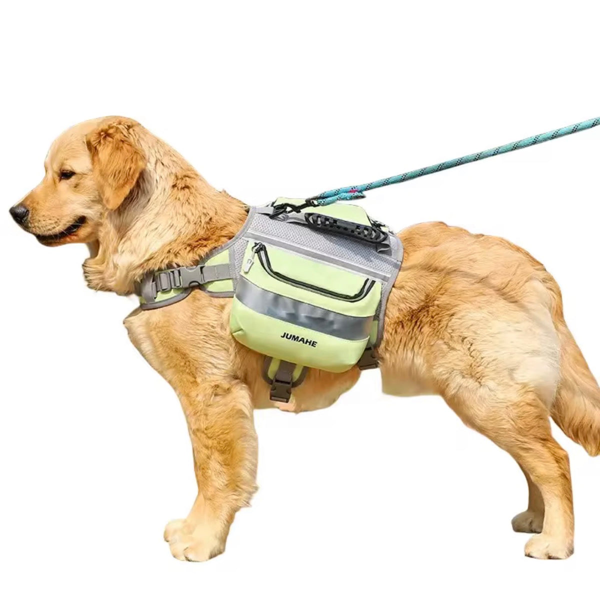 Nylon Dog Backpack Harness – Comfort, Safety, and Practicality