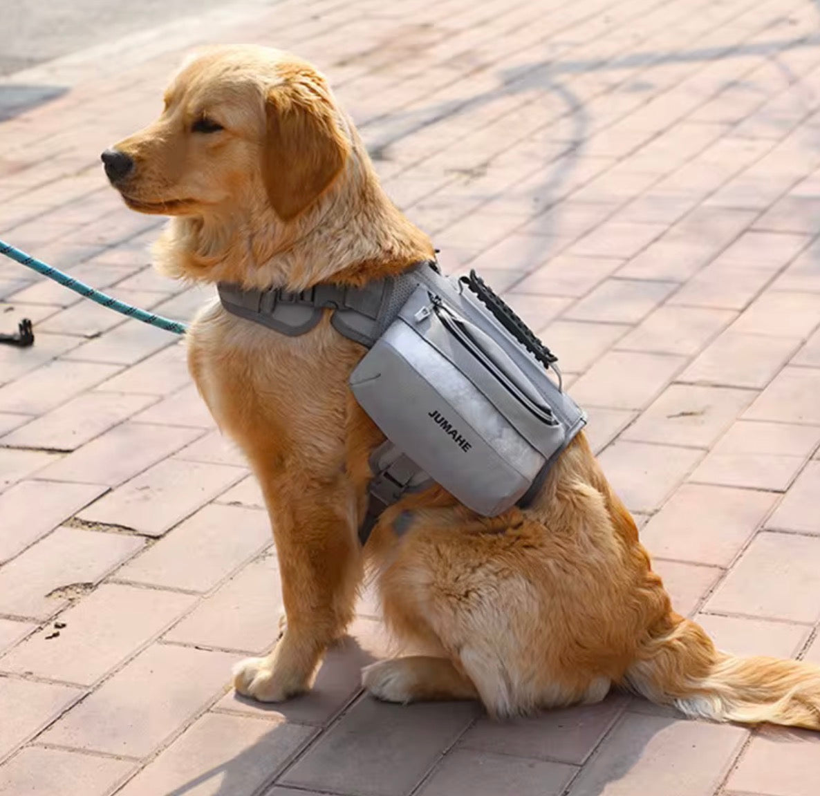 Nylon Dog Backpack Harness – Comfort, Safety, and Practicality