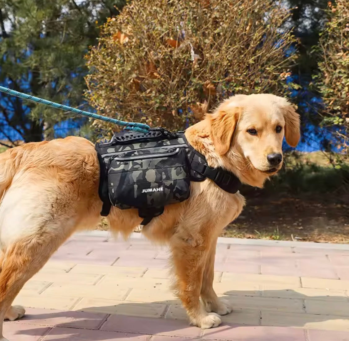 Nylon Dog Backpack Harness – Comfort, Safety, and Practicality