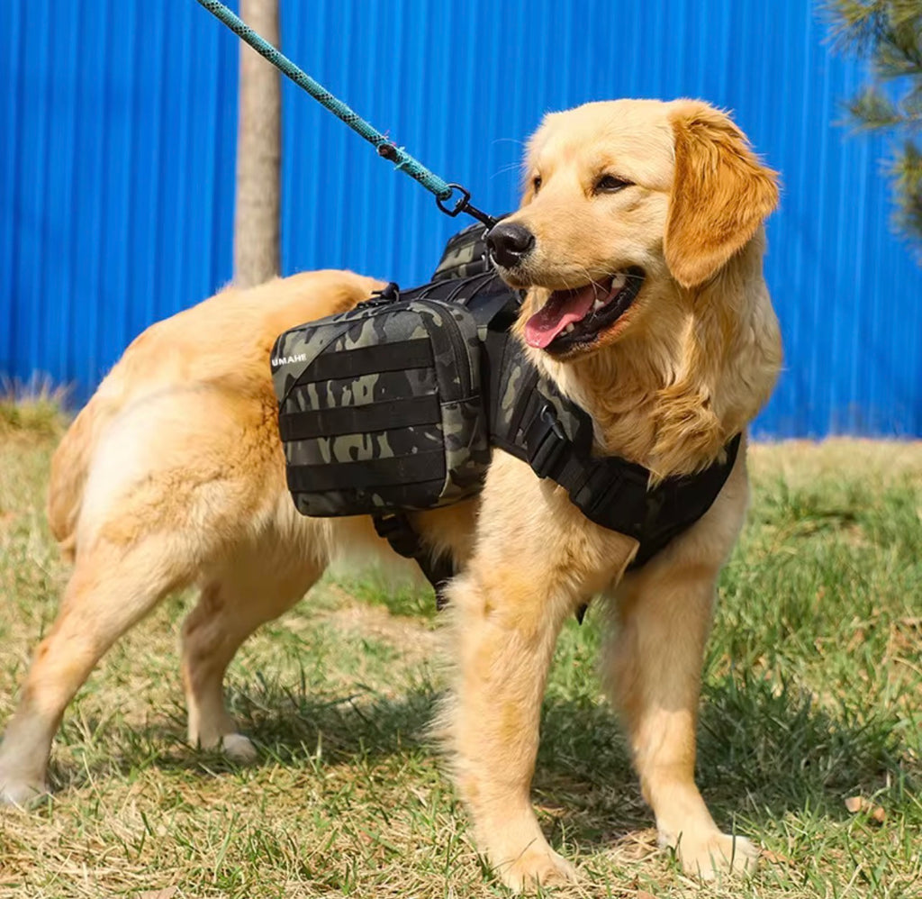 Nylon Dog Backpack Harness – Comfort, Safety, and Practicality