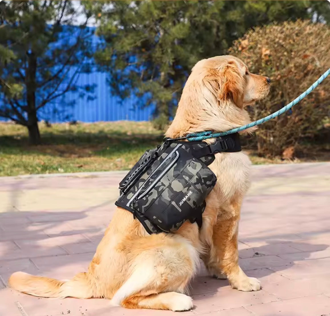 Nylon Dog Backpack Harness – Comfort, Safety, and Practicality