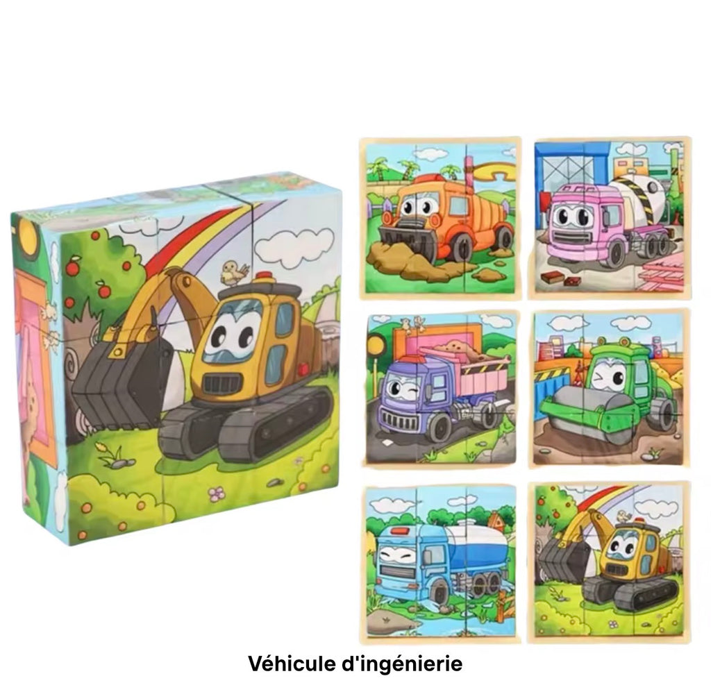 Puzzle Cubes 3D Éducatif – 6 Puzzles en 1 pour Enfants (9 Blocs)