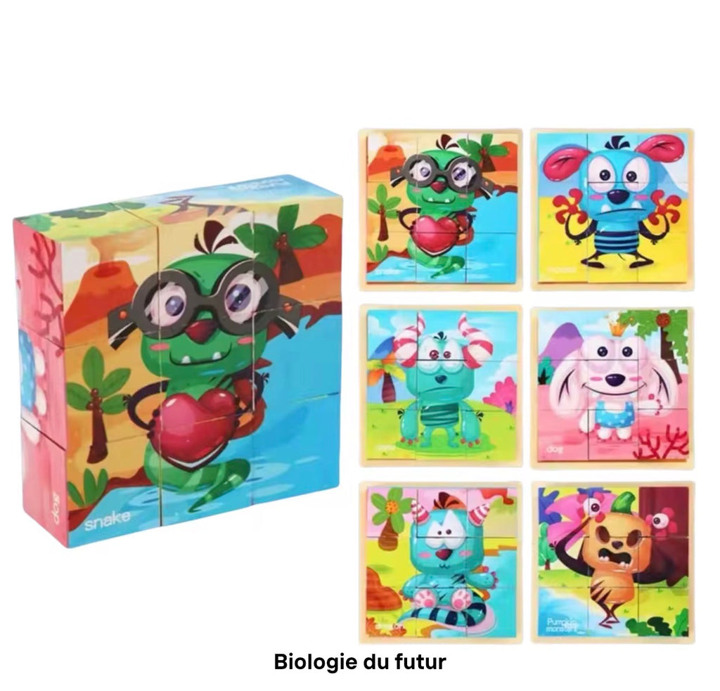 Puzzle Cubes 3D Éducatif – 6 Puzzles en 1 pour Enfants (9 Blocs)