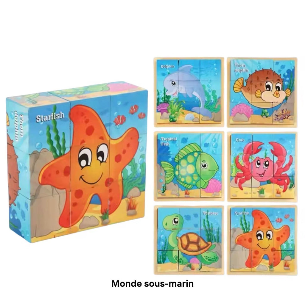 Puzzle Cubes 3D Éducatif – 6 Puzzles en 1 pour Enfants (9 Blocs)