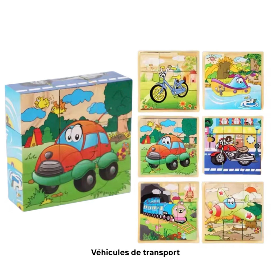 Puzzle Cubes 3D Éducatif – 6 Puzzles en 1 pour Enfants (9 Blocs)