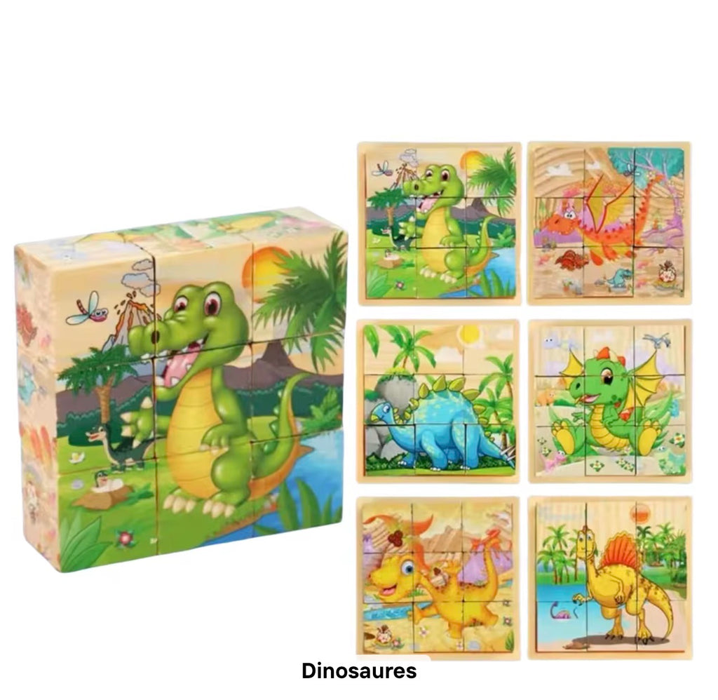 Puzzle Cubes 3D Éducatif – 6 Puzzles en 1 pour Enfants (9 Blocs)