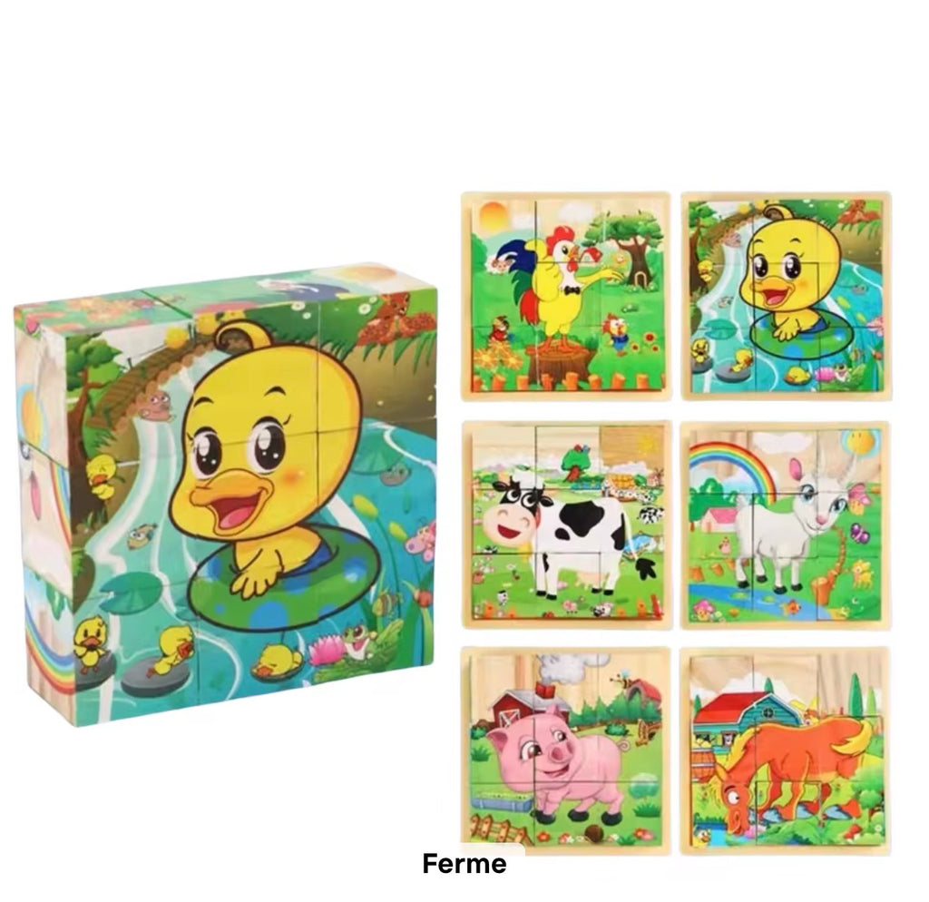 Puzzle Cubes 3D Éducatif – 6 Puzzles en 1 pour Enfants (9 Blocs)