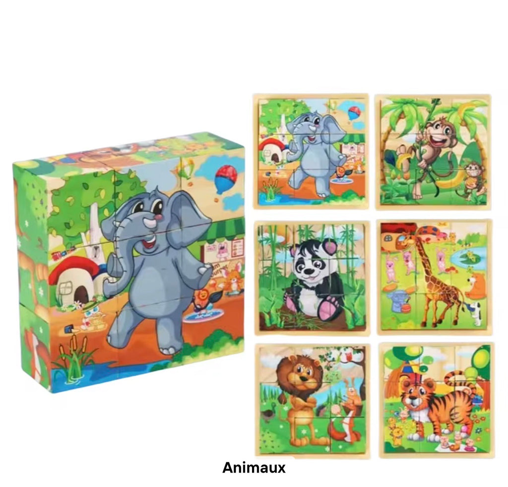 Puzzle Cubes 3D Éducatif – 6 Puzzles en 1 pour Enfants (9 Blocs)