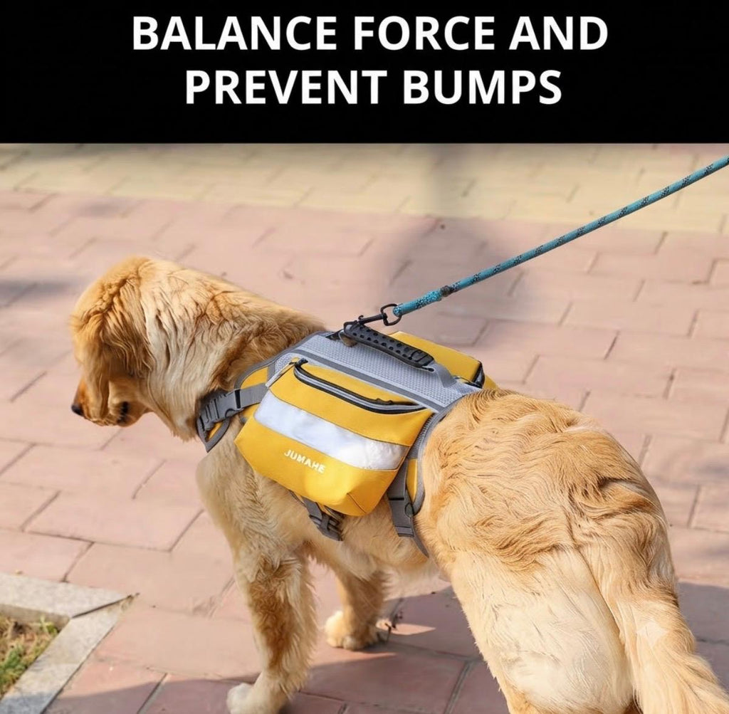 Nylon Dog Backpack Harness – Comfort, Safety, and Practicality
