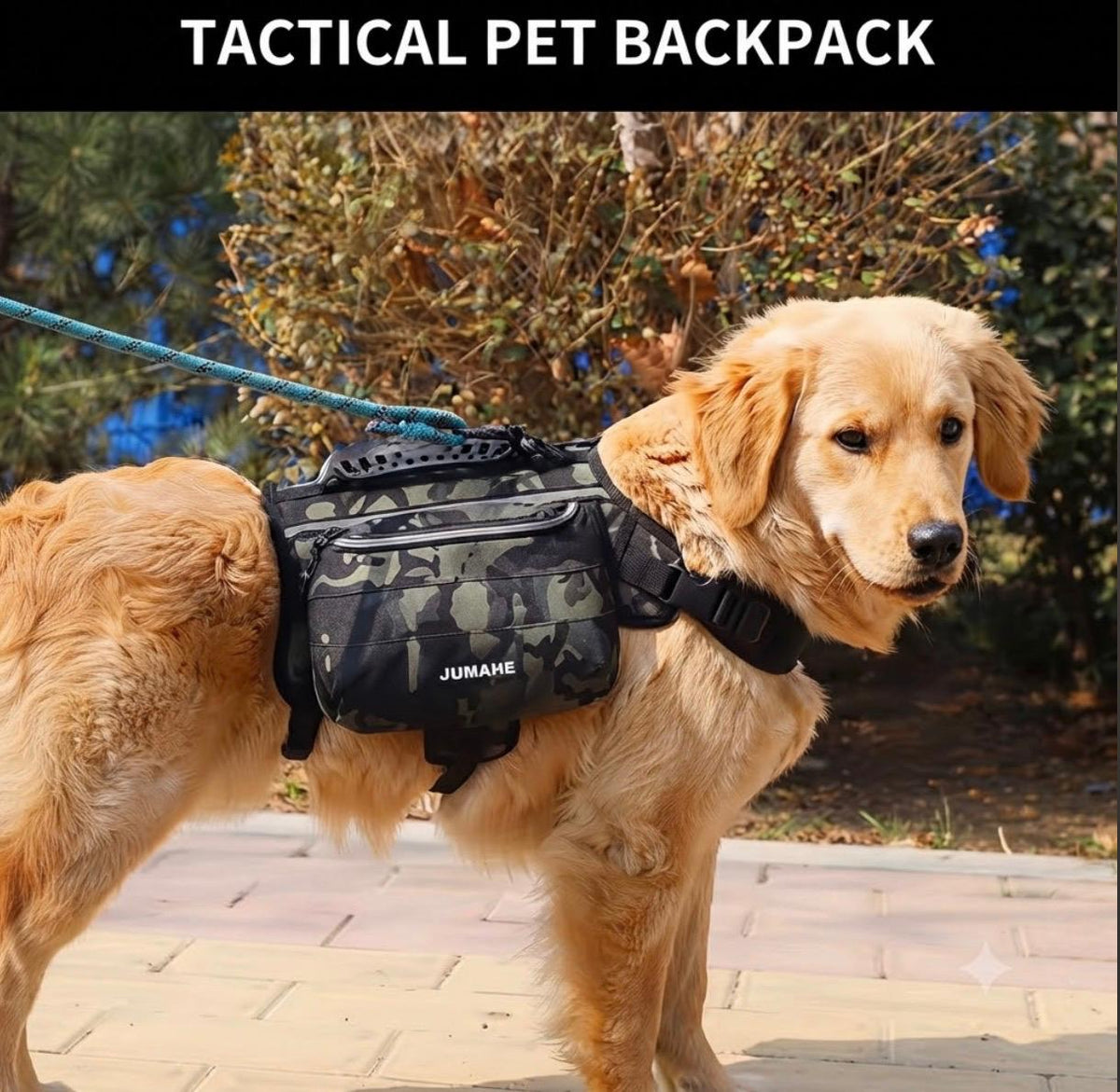 Nylon Dog Backpack Harness – Comfort, Safety, and Practicality
